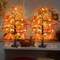 Battery Operated Lighted Tabletop Artificial Tree with Pumpkin Acorn Maple Fall(Style 3)